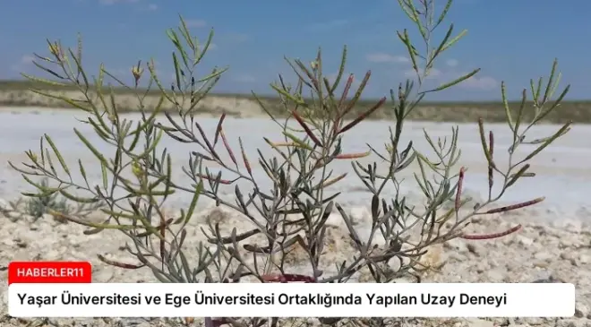 Yaşar Üniversitesi ve Ege Üniversitesi Ortaklığında Yapılan Uzay Deneyi