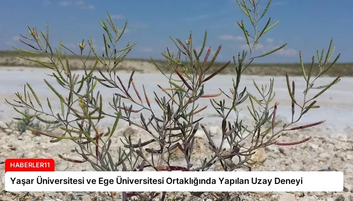Yaşar Üniversitesi ve Ege Üniversitesi Ortaklığında Yapılan Uzay Deneyi