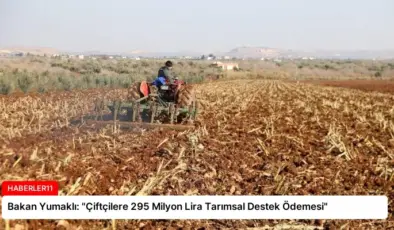 Bakan Yumaklı: “Çiftçilere 295 Milyon Lira Tarımsal Destek Ödemesi”
