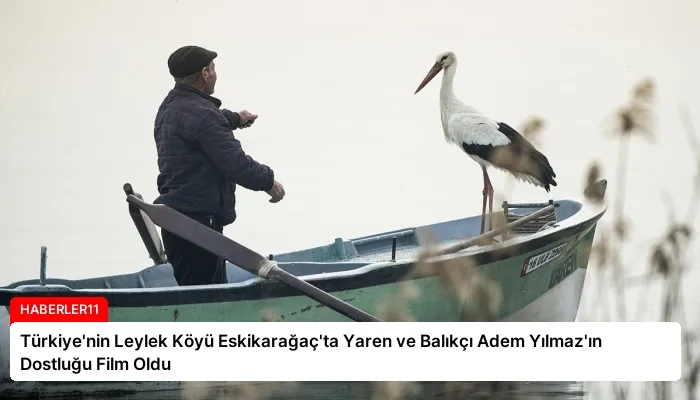Türkiye’nin Leylek Köyü Eskikarağaç’ta Yaren ve Balıkçı Adem Yılmaz’ın Dostluğu Film Oldu
