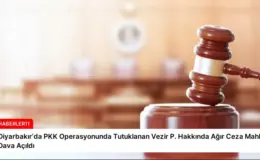 Diyarbakır’da PKK Operasyonunda Tutuklanan Vezir P. Hakkında Ağır Ceza Mahkemesine Dava Açıldı