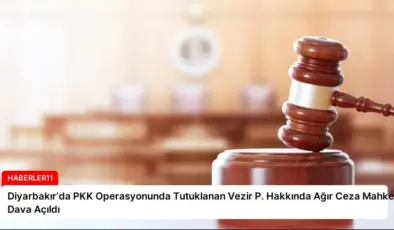 Diyarbakır’da PKK Operasyonunda Tutuklanan Vezir P. Hakkında Ağır Ceza Mahkemesine Dava Açıldı