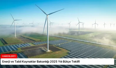 Enerji ve Tabii Kaynaklar Bakanlığı 2025 Yılı Bütçe Teklifi