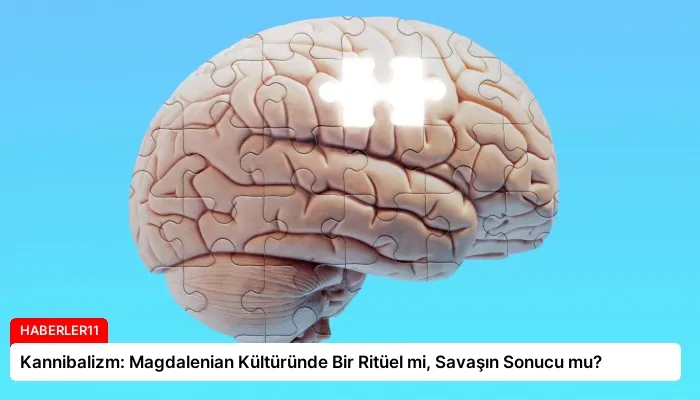 Kannibalizm: Magdalenian Kültüründe Bir Ritüel mi, Savaşın Sonucu mu?