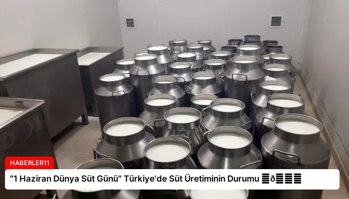 “1 Haziran Dünya Süt Günü” Türkiye’de Süt Üretiminin Durumu ⏬👇