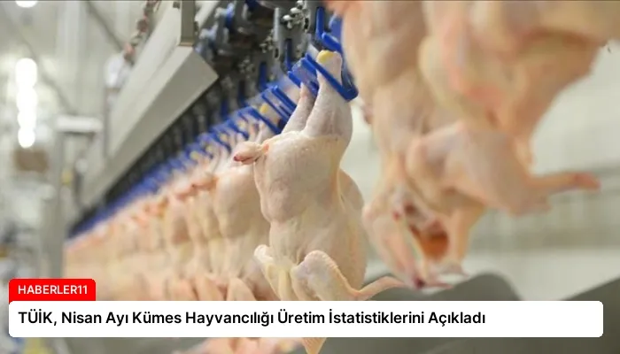 TÜİK, Nisan Ayı Kümes Hayvancılığı Üretim İstatistiklerini Açıkladı