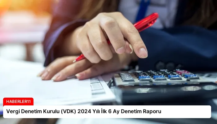 Vergi Denetim Kurulu (VDK) 2024 Yılı İlk 6 Ay Denetim Raporu