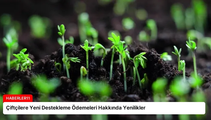 Çiftçilere Yeni Destekleme Ödemeleri Hakkında Yenilikler