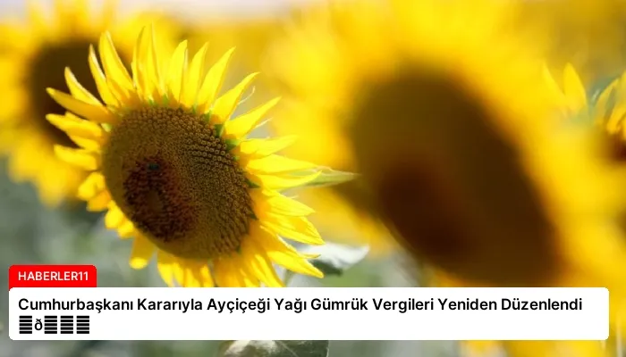 Cumhurbaşkanı Kararıyla Ayçiçeği Yağı Gümrük Vergileri Yeniden Düzenlendi ⏬👇