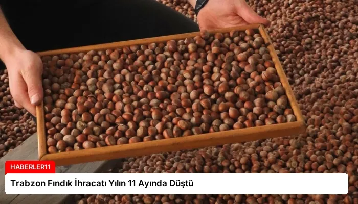 Trabzon Fındık İhracatı Yılın 11 Ayında Düştü