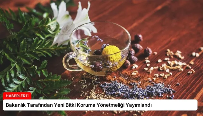 Bakanlık Tarafından Yeni Bitki Koruma Yönetmeliği Yayımlandı