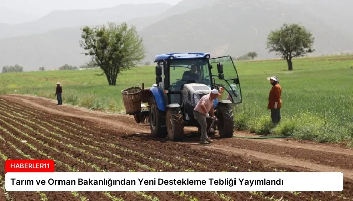 Tarım ve Orman Bakanlığından Yeni Destekleme Tebliği Yayımlandı