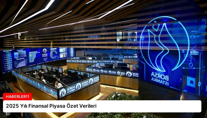 2025 Yılı Finansal Piyasa Özet Verileri