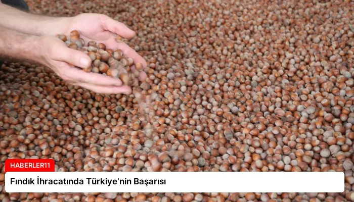 Fındık İhracatında Türkiye’nin Başarısı