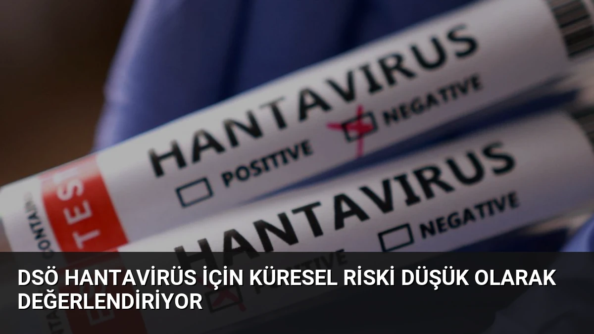 DSÖ Hantavirüs İçin Küresel Riski Düşük Olarak Değerlendiriyor