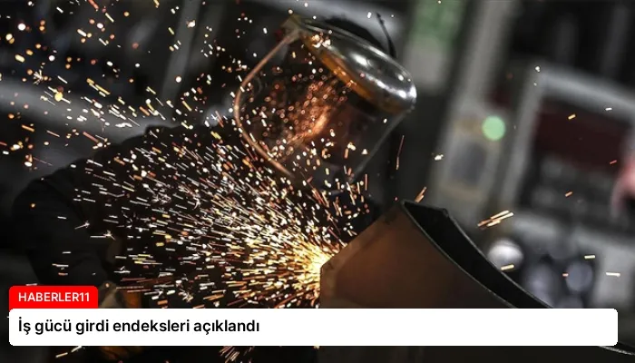 İş gücü girdi endeksleri açıklandı