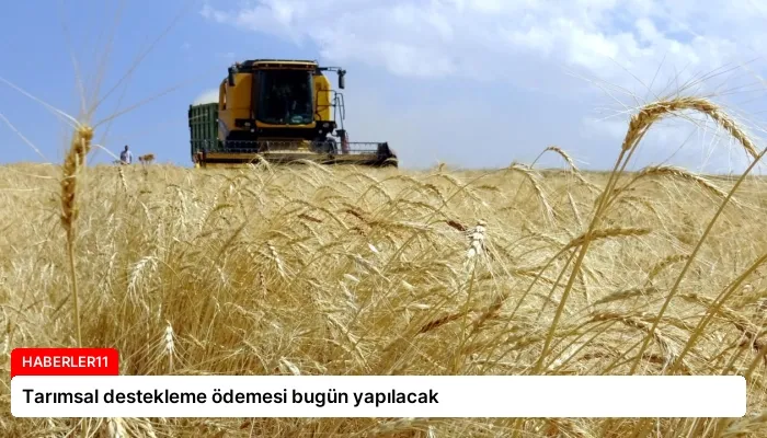 Tarımsal destekleme ödemesi bugün yapılacak