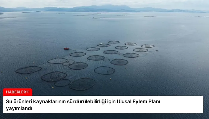 Su ürünleri kaynaklarının sürdürülebilirliği için Ulusal Eylem Planı yayımlandı