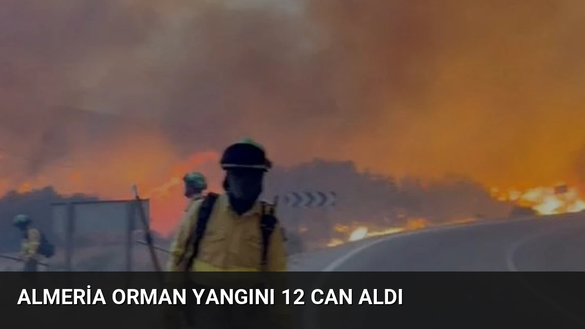 Almeria Orman Yangını 12 Can Aldı