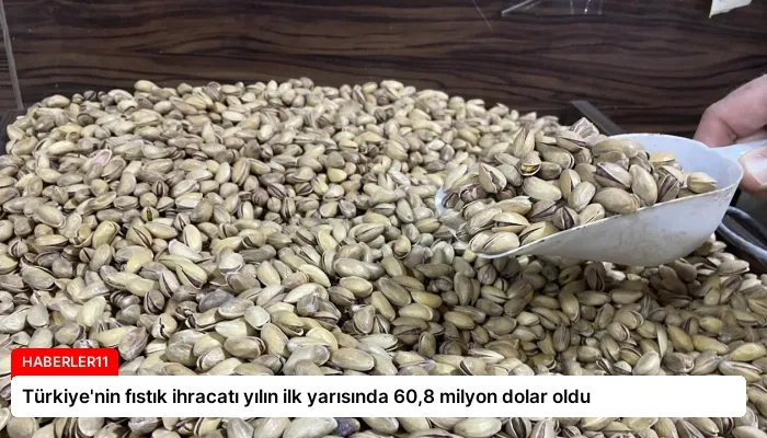 Türkiye’nin fıstık ihracatı yılın ilk yarısında 60,8 milyon dolar oldu
