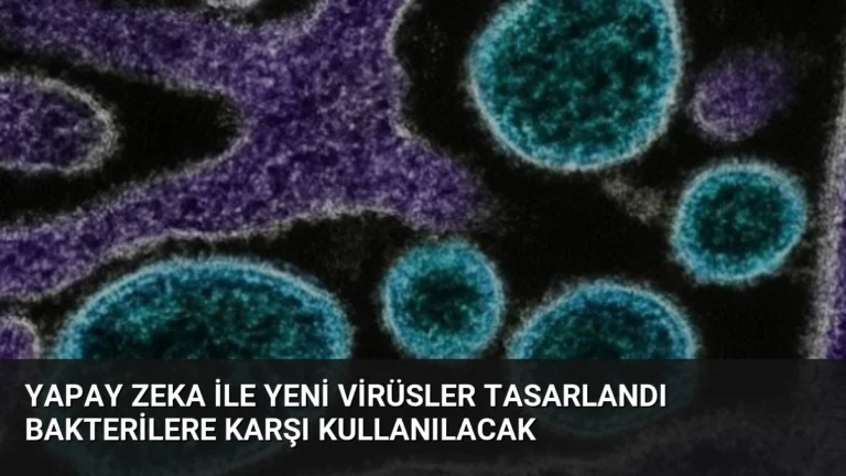 Yapay Zeka ile Yeni Virüsler Tasarlandı Bakterilere Karşı Kullanılacak