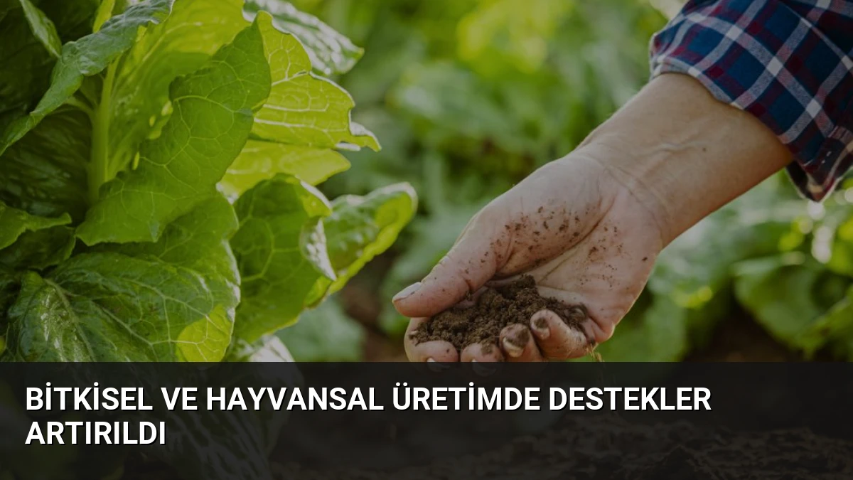 Bitkisel ve Hayvansal Üretimde Destekler Artırıldı