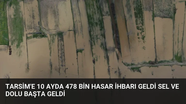 TARSİM’e 10 Ayda 478 Bin Hasar İhbarı Geldi Sel ve Dolu Başta Geldi