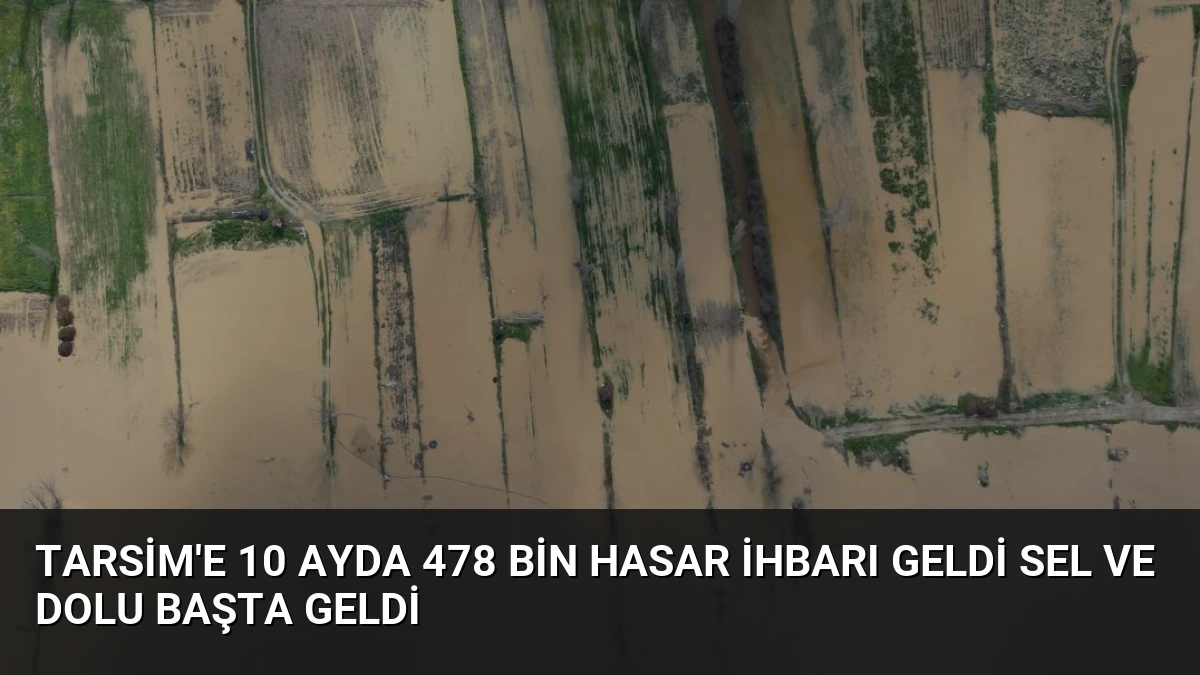 TARSİM’e 10 Ayda 478 Bin Hasar İhbarı Geldi Sel ve Dolu Başta Geldi