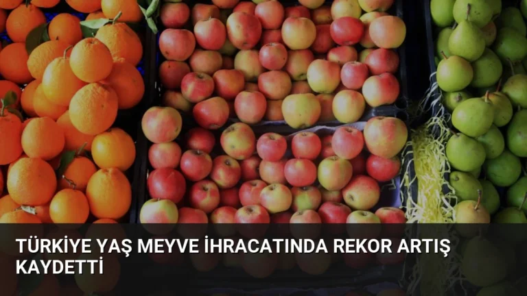 Türkiye Yaş Meyve İhracatında Rekor Artış Kaydetti